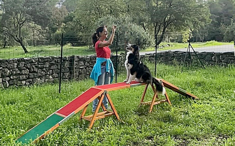 Hélène, comportementaliste canin au Paradis des Chiens à Vence (06)